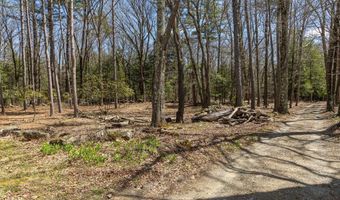 forest Road, Alstead, NH 03602