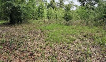 Mona Lane, Alford, FL 32420