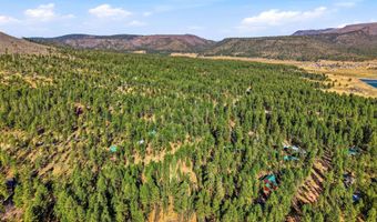 20 Co Rd 2067, Alpine, AZ 85920