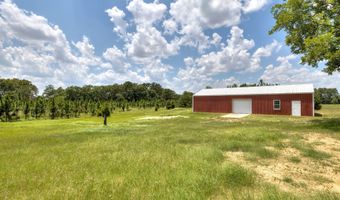 496 Manville Saint Charles Rd, Bishopville, SC 29010
