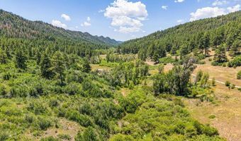 3230 Bear Creek Rd, Bayfield, CO 81122