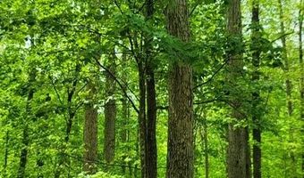 Barnes Road, Bardstown, KY 40004