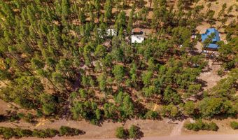 56 Co Rd 2266, Alpine, AZ 85920
