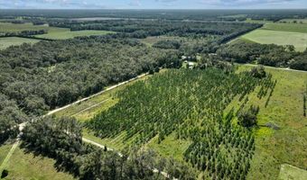 00 50th Ave, Bell, FL 32619