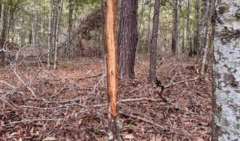 Eugene Ward Road, Adrian, GA 31002