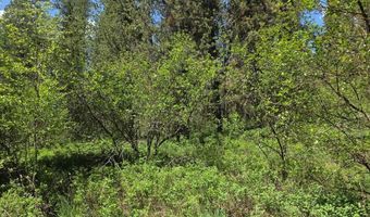 4585 E 1400 N, Ashton, ID 83420
