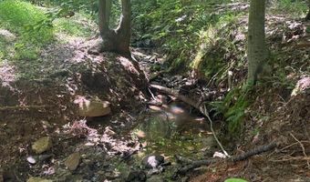 Piney Mountain Rd, Appomattox, VA 24522