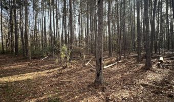 0 Ashe Brown Rd, Adams Run, SC 29426