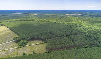 Tract A Ten Acre Rd, Andrews, SC 29510