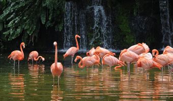 Orange Dr & Flamingo Rd Plan: Arlington, Davie, FL 33330