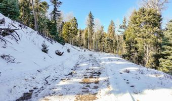 45 And 46 Sacramento Dr, Angel Fire, NM 87710