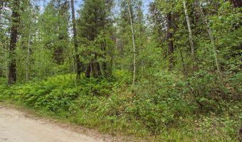 517 Susan Rd Lot 41, Cascade, ID 83611