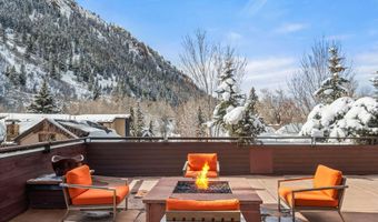 233 E Cooper Ave 301, Aspen, CO 81611