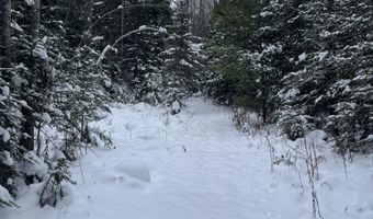 9606 Munger Rd, Afton, MI 49705