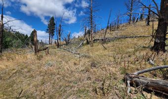 Nhn Plaindealer Lode Depot Hill Road, Boulder, MT 59632