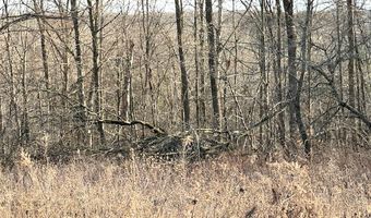 Lot 6 THORN APPLE DR, Wittenberg, WI 54499