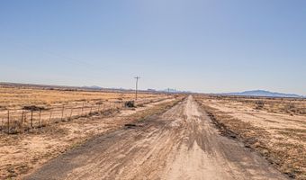 29 Rose Ln, Animas, NM 88020