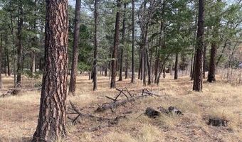 000 COUNTY ROAD 2196 LOT 74 AFE, Alpine, AZ 85920