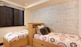 945 E Cooper Ave, Aspen, CO 81611