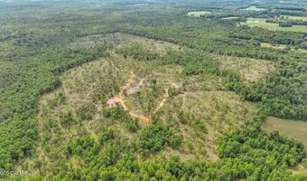 Wynn Road, Big Sandy, TN 38221