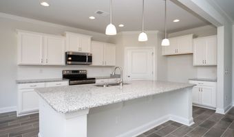 2095 Marietta Cir Plan: MADISON, Ash, NC 28420
