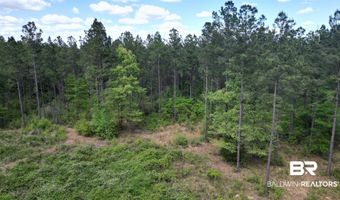 Ronald Sanks Road, Bay Minette, AL 36507