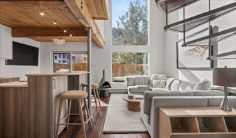 1024 E Cooper Avenue 3a, Aspen, CO 81611