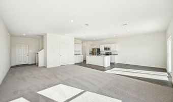 10644 Harlequinn Plan: Discovery, Adkins, TX 78101