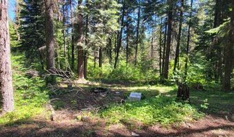 671 W Mountain Rd, Cascade, ID 83611