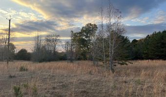11 Acres RISER MILL ROAD Lot 11 Acres, Alpine, AL 35014