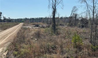0 35.01 Acres Bacon School Rd, Alma, GA 31510
