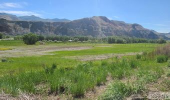 6 Homestead Trl, Challis, ID 83226