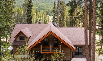 433 97 Cir, Blue River, CO 80424