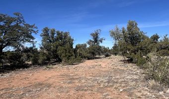 362 Big View Trl, Ash Fork, AZ 86320
