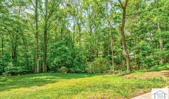 66 Adrian St, Bassett, VA 24055