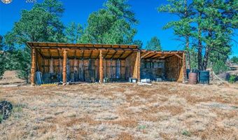 38 MacDonnell Dr, Cotopaxi, CO 81223