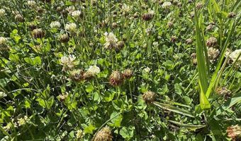 2254 E M30, Alger, MI 48610