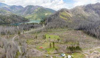 91747 BLUE RIVER RESERVOIR Rd, Blue River, OR 97413