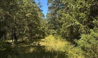 Lot 19 Saddle Creek Ct, Alba, TX 75410
