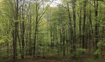 329 Villa Heights Dr, Bastian, VA 24314