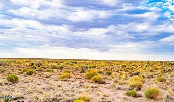 Co Rd N7012 40 Acres, Chambers, AZ 86502