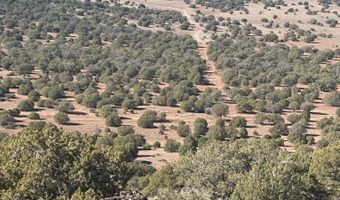 219 N 8716, Concho, AZ 85924