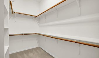 1610 Mapleleaf Fall Dr, Allen, TX 75002