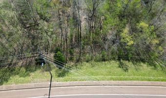 TRACT 3 W MAIN, Adamsville, TN 38310
