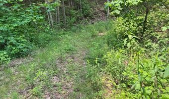 88 Acres Bolden Br, Andrews, NC 28901