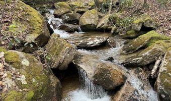 62 Acres Buckeye Ridge Rd, Beech Mountain, NC 28604