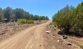 Stagecoach Dr 47 Acres, Ash Fork, AZ 86320