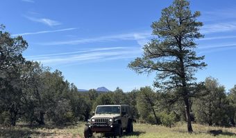 5 Deer Droppings, Ash Fork, AZ 86320