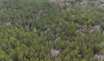 TBD Hwy. 29, Brooklyn, MS 39425