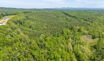 Ahart Ridge Rd lot 58 60 61, Ararat, VA 24053